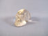 C-S-28 : Citrine Crystal Skull