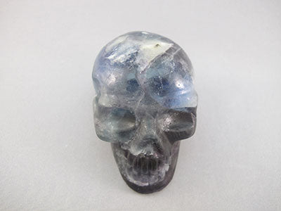 A-F-M-327 : Adoption Blue, Purple, Green & White Fluorite Crystal Skull