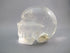A-ASC-Q-M-108 : Adoption 2-Inch Hematoid Ascension Quartz Crystal Skull
