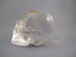 A-ASC-Q-M-125 : Adoption 2.25-Inch Hematoid Ascension Quartz Crystal Skull