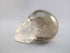 C-M-0247-r :  3-inch Tri-Color Rainbow Citrine Crystal Skull
