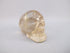 A-C-S-83-r :  Adoption Rutilated Citrine Crystal Skull