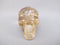 A-C-M-115-h : Adoption Hematoid Rainbow Citrine Crystal Skull