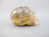 A-C-M-115-h : Adoption Hematoid Rainbow Citrine Crystal Skull