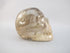 A-C-M-163-h : 2.3-Inch Adoption Hematoid Citrine Crystal Skull