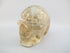 A-C-M-248-r : Adoption 2.6-Inch Rainbow Citrine Crystal Skull