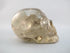 A-C-M-251-r : Adoption 3-Inch Rainbow Citrine Crystal Skull