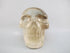 A-C-M-361-s : Adoption Tri-Color Smoky Citrine Crystal Skull