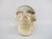 A-C-M-361-s : Adoption Tri-Color Smoky Citrine Crystal Skull