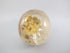 A-C-M-361-s : Adoption Tri-Color Smoky Citrine Crystal Skull