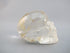 A-Q-M-167 : Adoption 2.6-Inch Hematoid Quartz Crystal Skull