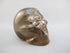 A-SQ-M-209 : Adoption 2.7-Inch Smoky Quartz Crystal Skull