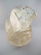 A-SQ-L-1404-r : Adoption 4.7-Inch Rutilated Smoky Quartz Crystal Skull