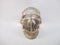 CS-SMQ-BIC-0182 :  2.6-inch Bi-Color Smoky Quartz Crystal Skull