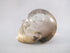 CS-SMQ-BIC-0182 :  2.6-inch Bi-Color Smoky Quartz Crystal Skull