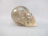 CS-SMQ-RBW-0200 :  2.9-inch Rainbow Smoky Quartz Crystal Skull