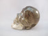 CS-SMQ-BIC-0253 :  3.2-inch Bi-Color Smoky Quartz Crystal Skull