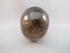 CS-SMQ-BIC-0253 :  3.2-inch Bi-Color Smoky Quartz Crystal Skull
