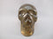 CS-SMQ-RBW-0369 :  3.6-inch Rainbow Smoky Quartz Crystal Skull