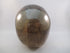 CS-SMQ-RUT-1263 :  4-inch Rutilated Smoky Quartz Crystal Skull
