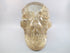 CS-SMQ-RBW-LIT-1758 :  5.9-inch Rainbow Light Smoky Crystal Skull