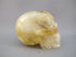 CS-GDH-RBW-0234 :  2.9-inch Rainbow Golden Healer Crystal Skull