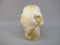 CS-GDH-DND-0283 :  2.8-inch Dendritic Golden Healer Crystal Skull