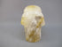 CS-GDH-DND-0283 :  2.8-inch Dendritic Golden Healer Crystal Skull