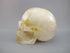 CS-GDH-DND-0283 :  2.8-inch Dendritic Golden Healer Crystal Skull