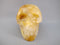 CS-GDH-STR-0388 :  3.2-inch Starlight Golden Healer Crystal Skull