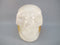 CS-GDH-STR-0567 :  3.5-inch STAR Golden Healer Crystal Skull