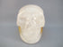 CS-GDH-STR-0567 :  3.5-inch STAR Golden Healer Crystal Skull