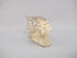 C-T-111 : Rainbow Citrine Traveler Crystal Skull