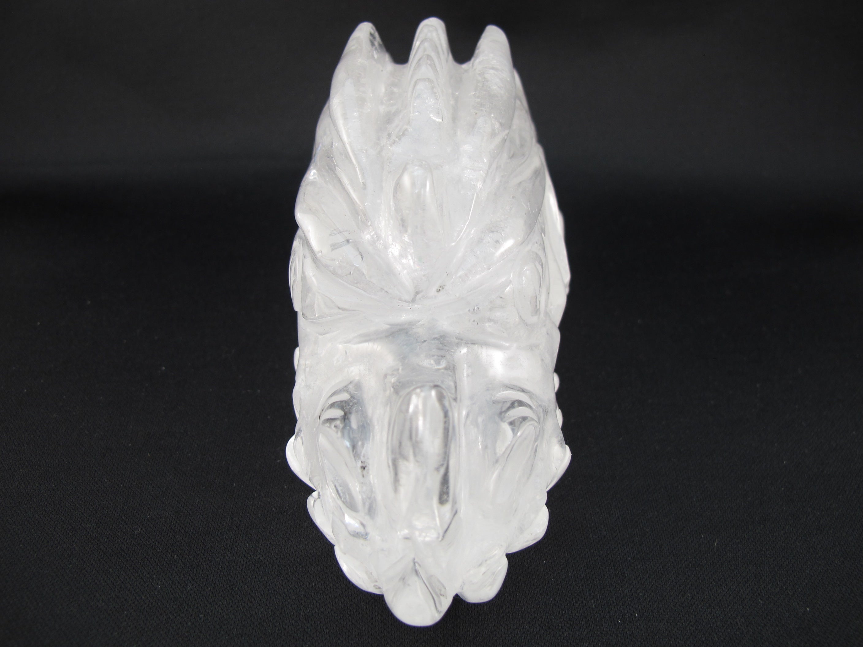 Q-DR-832 : Quartz Dragon Crystal Skull