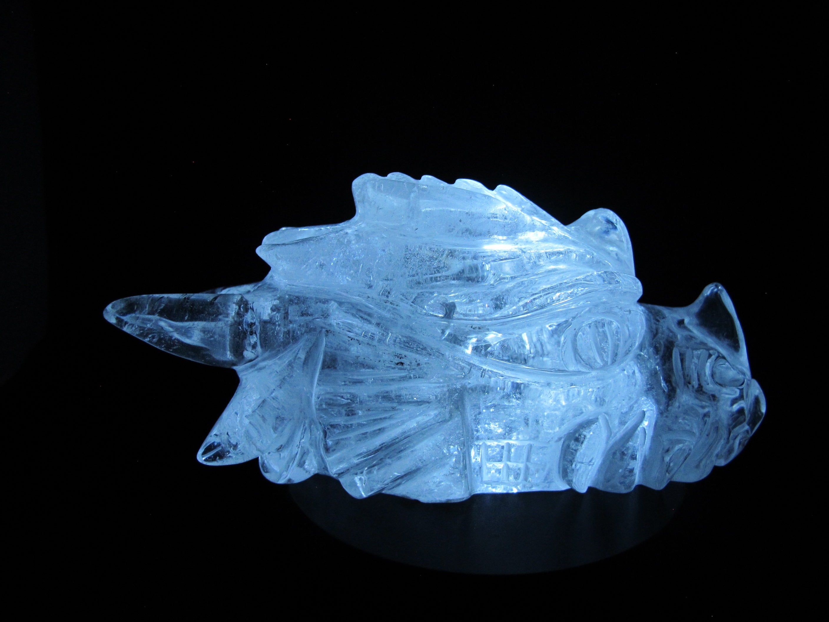 Q-DR-832 : Quartz Dragon Crystal Skull