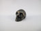 A-JM-S-10 : Adoption Metallic Jet Crystal Skull (Copy)