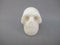 A-MS-M-95-R :  Adoption Blue Rainbow Moonstone Crystal Skull