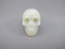 AMA-S-50-L : Light Amazonite Crystal Skull