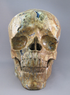 AZU-L-3783 : Azurite Crystal Skull