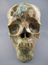 AZU-L-2582 : Azurite Crystal Skull