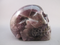 AU-L-537 : Auralite Crystal Skull