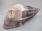 AU-TR-751 : Auralite Traveler Crystal Skull