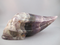 AU-TR-914 : Auralite Traveler Crystal Skull