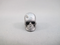 ES-S-0004-V-MR  : Mars Rock Energized Elemental Silica Crystal Skull with Veins