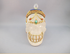 HQ-L-537 : Treasured Tibetan Crystal Skull