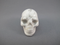 HL-S-45 : Howlite Crystal Skull