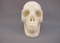 JW-S-275 : White Jade Crystal Skull
