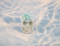 LM-M-20 :  Larimar Crystal Skull (Evian)
