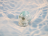 LM-M-20 :  Larimar Crystal Skull (Evian)