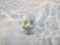 LM-M-20-b :  B-Grade Larimar Crystal Skull (Evian)